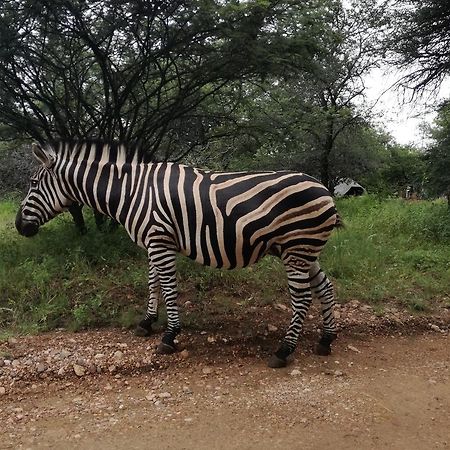 Roundhouse Marloth Park Villa Exterior foto